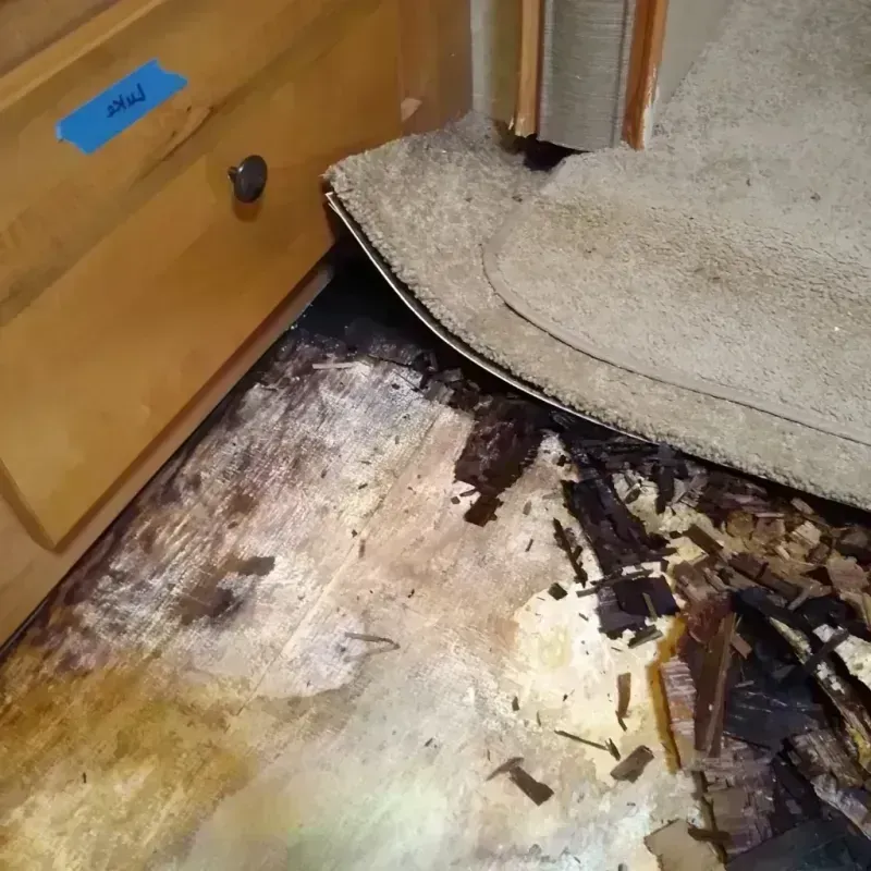 Wood Floor Water Damage in Hobart, OK